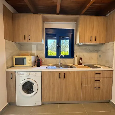 Aleyna House Area Tatil Evi