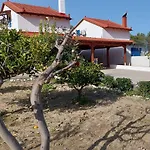 Aleyna House Area
