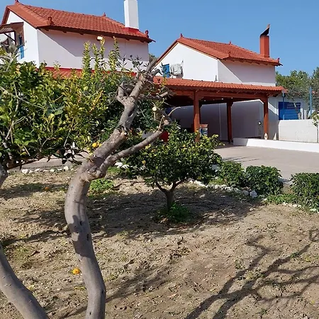 Aleyna House Area