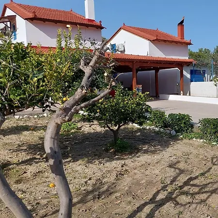 Aleyna House Area
