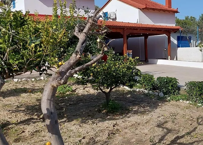 Aleyna House Area